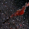 Ghost Pipefish